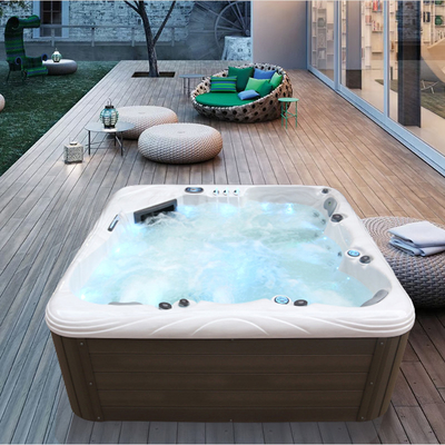 2 Salon Masaj Spa Sıcak Tub Balboa Kontrol Küvetler Whirlpools