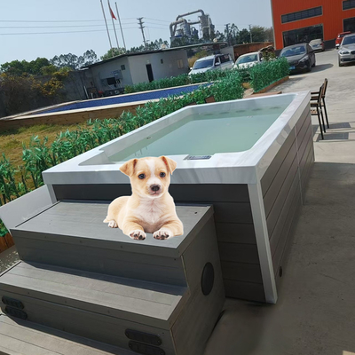 Acrylic Doggy Pet Su Oyunları için Yüzme Havuzu